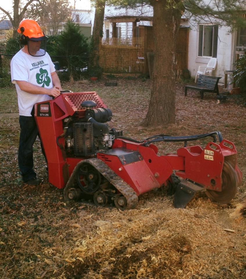 Stump Grinding